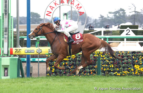 每日賽馬晚報（2024年3月6日），🇯🇵Matenro Sky參加杜拜草地大賽，🇦🇺盡善盡美結束種馬任務