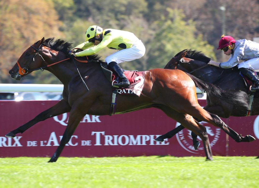 緋色威獅可否確保經典賽氣勢