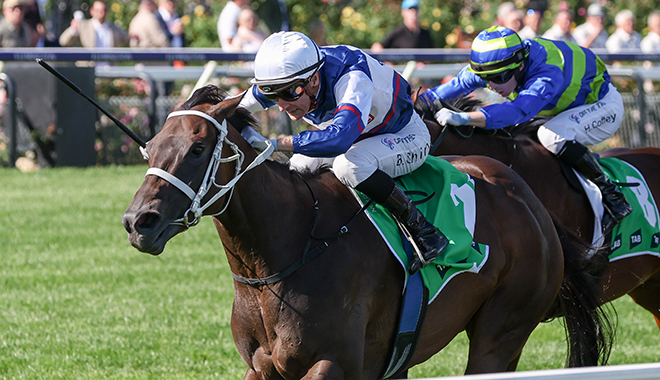 華禮納公開解畫為何不派馬參加全明星一哩賽