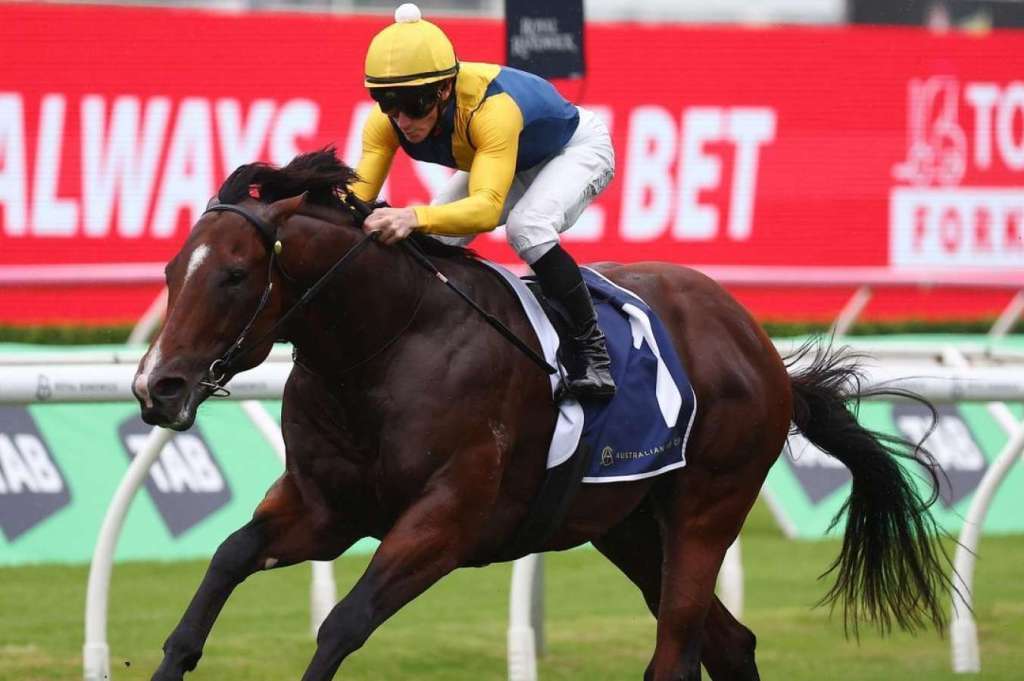 莫雅金拖鞋大賽選擇Storm Boy