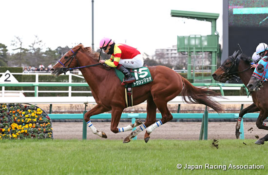海洋錦標,濠城奪標挑戰高松宮
