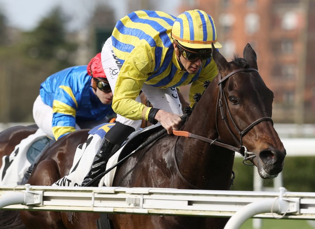 凱旋門最終一戰喜爭先