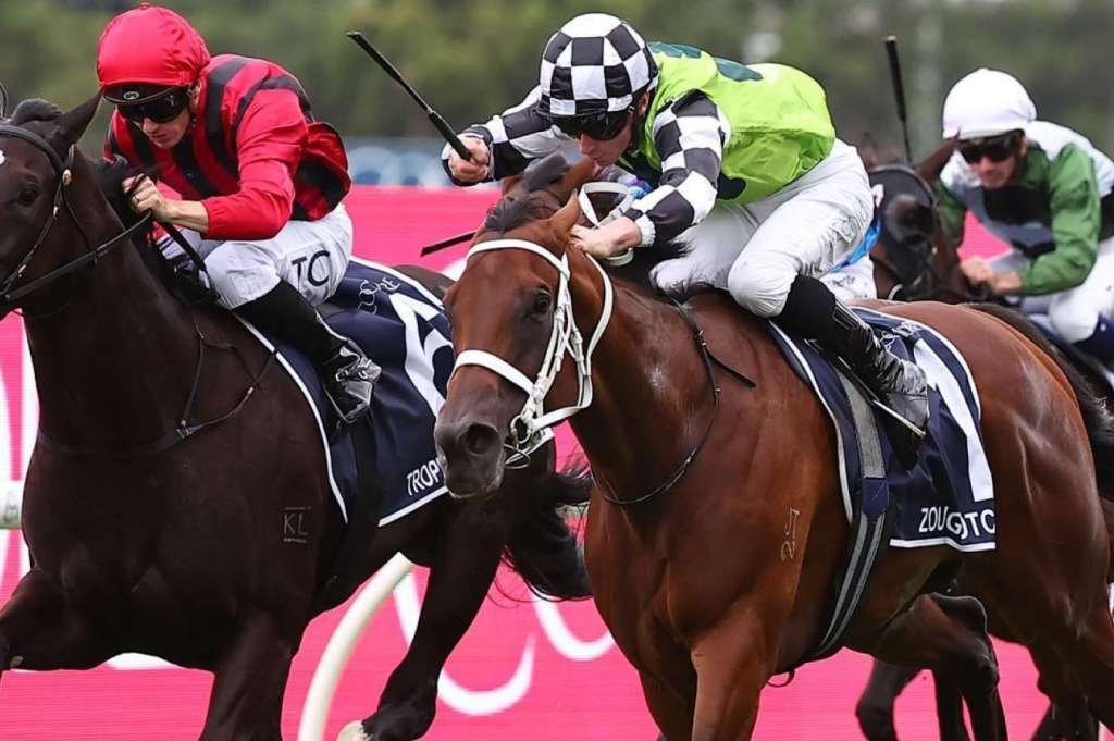 每日賽馬晚報（2024年3月16日），🇭🇰花旗子嗣香港拍賣會高價成交，🇦🇺摘光彩奪古摩亞經典賽