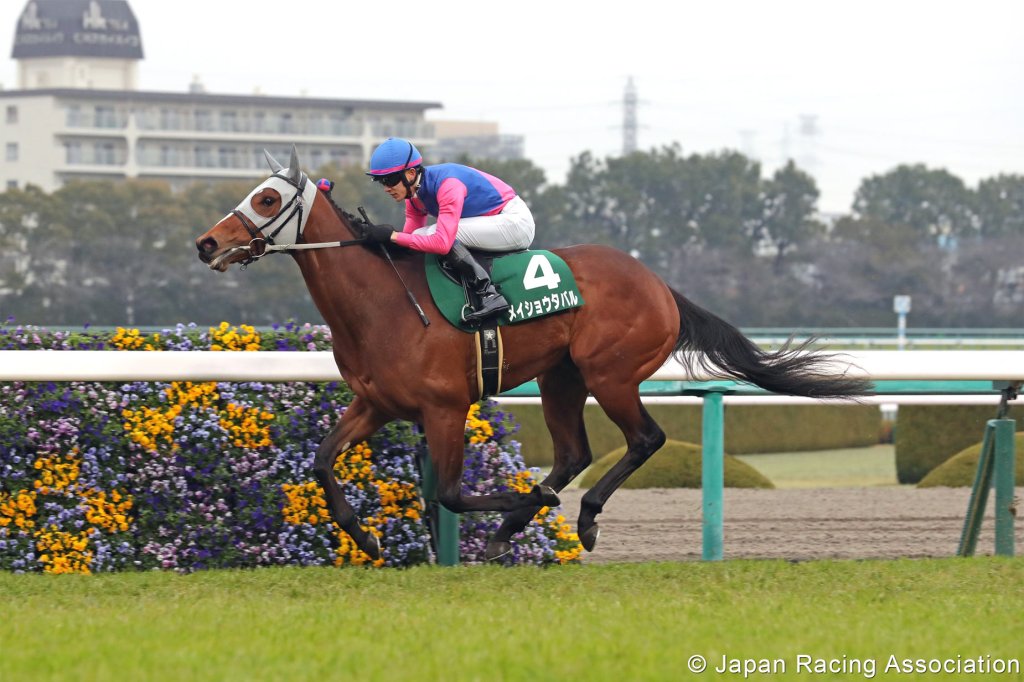 每日盃,消暑樂祭跑法由Meisho Tabaru證明