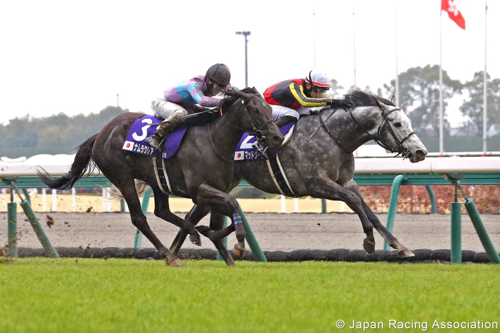 高松宮紀念賽，消暑樂祭大打反擊戰，維港智能力拼奪季