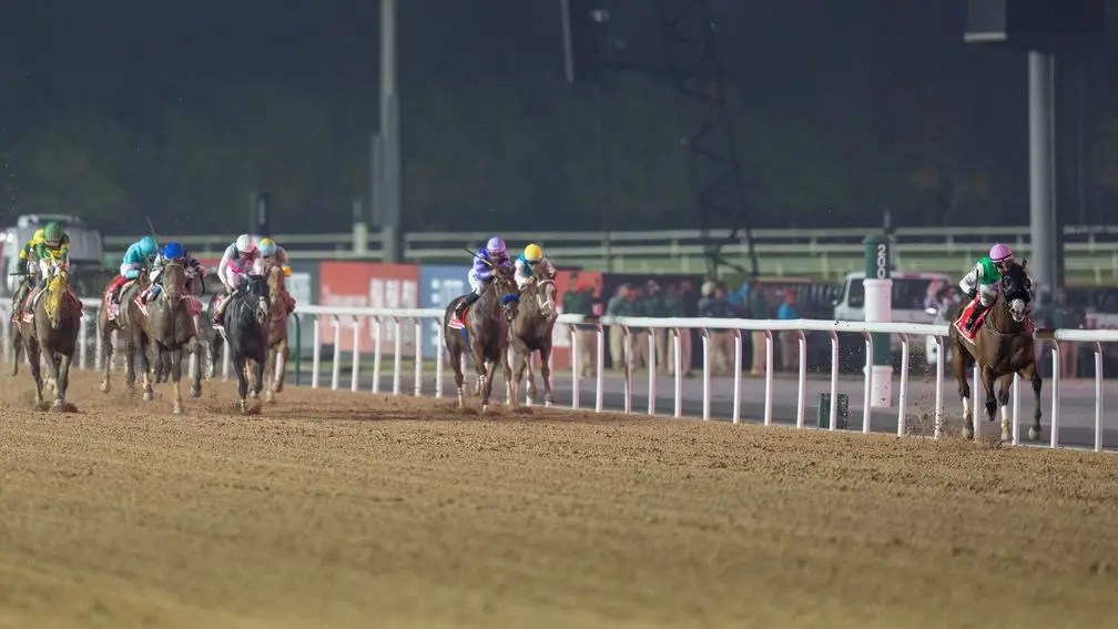 月桂河為恢復狀態避戰沙地盃