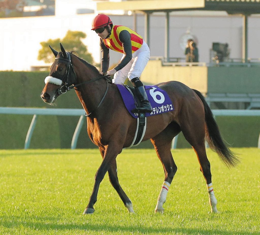 每日賽馬晚報(2024年6月14日),🇫🇷🇬🇧先睹風采已被卡塔爾馬主購入,🇯🇵橡木城及百塔意城季季各有目標