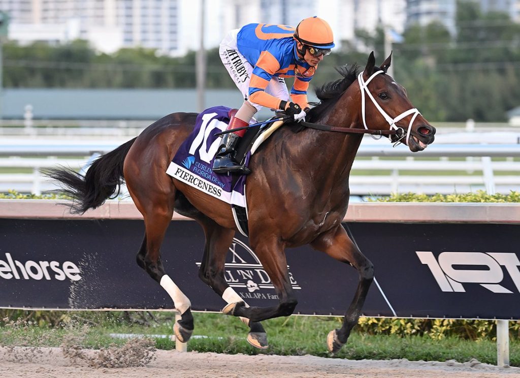 肯塔基打吡各駒簡介前瞻