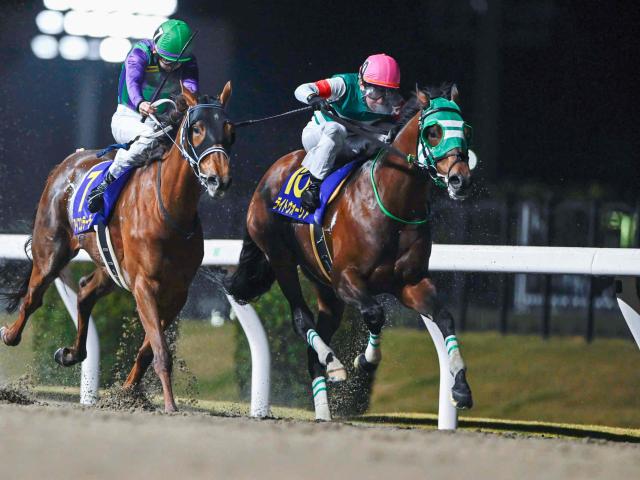 每日賽馬晚報（2025年1月15日），🇦🇺考菲爾德延遲柯爾錦標當日復賽，🇯🇵Light Warrior贏川崎紀念賽成地方馬王