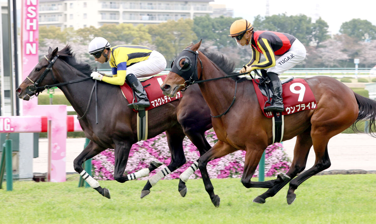 2024年5月12日維多利亞一哩賽日及法國二千堅尼賽馬日各場精選– Flameracing