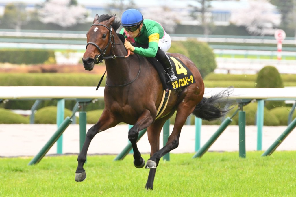 高野冀望長力有保證嗎？