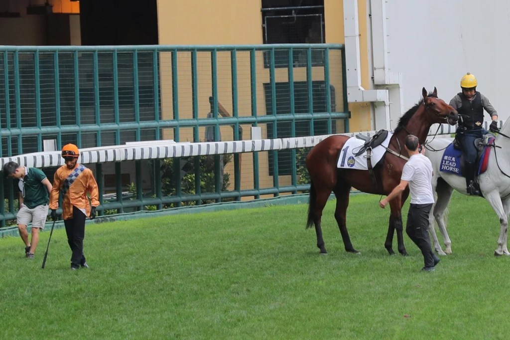 朗朗乾坤澳洲週六復出