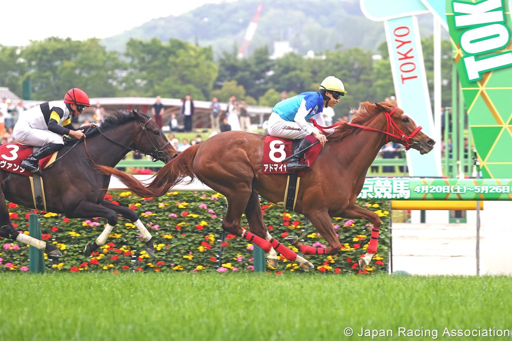 優駿牝馬群雌們大幅增程，實力上位馬挑戰（賠率更新版）