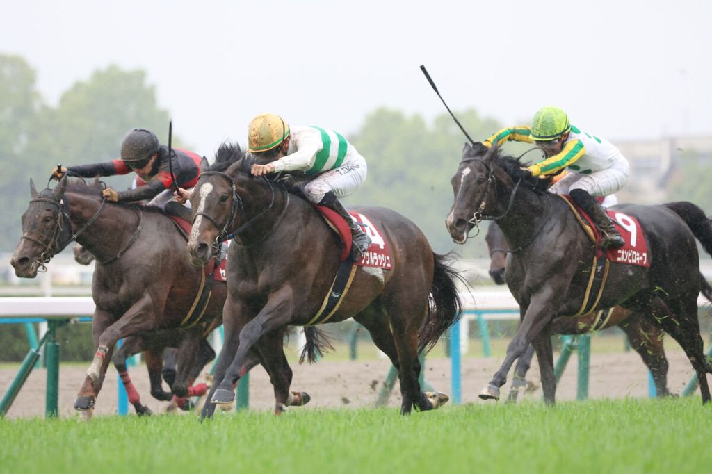 2024年6月2日賽馬日（11場田草、B跑道）、日本安田紀念賽及法國打吡大賽詳細推介