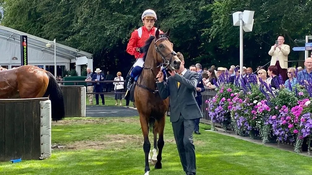 Eben Shaddad法國二千堅尼能否殺出血路?