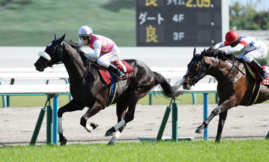 京都新聞盃，六月豪取突襲進軍打吡