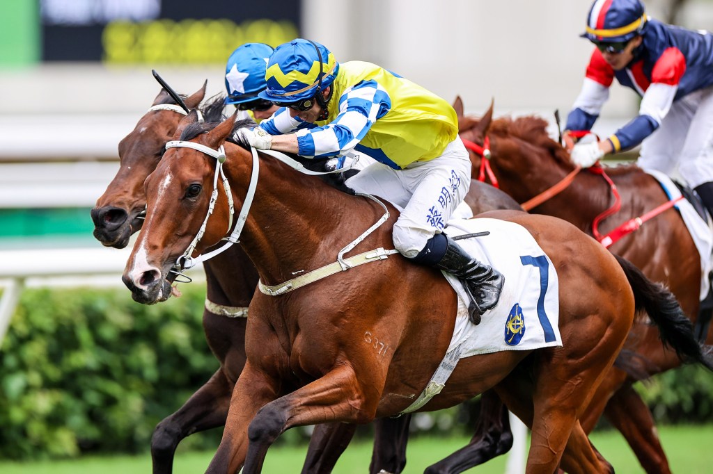 皇太后紀念盃,當年情力退廐侶錶之五知