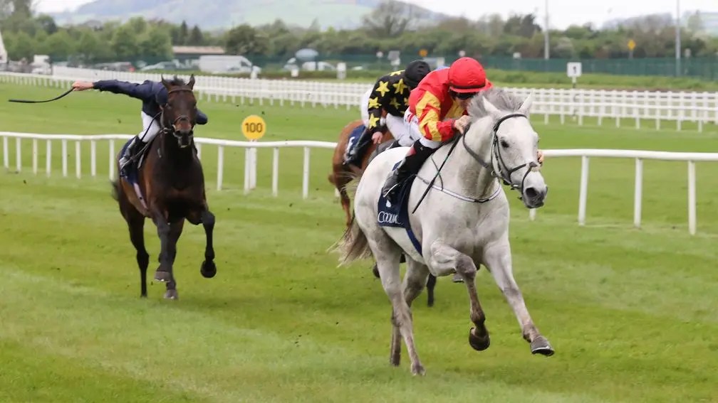 每日賽馬晚報（2024年5月7日），🇦🇺雲絲仙子紀錄片已排好上映檔期，🇮🇪高樺勝雪把握強敵不在輕取莫爾斯橋錦標