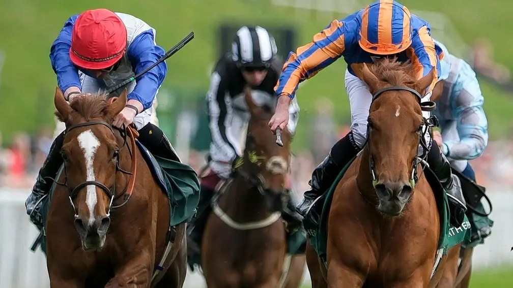 車士達銀瓶,Hidden Law贏馬成最後戰役。Fairy之戰由Forest Fairy勝出車士達橡樹