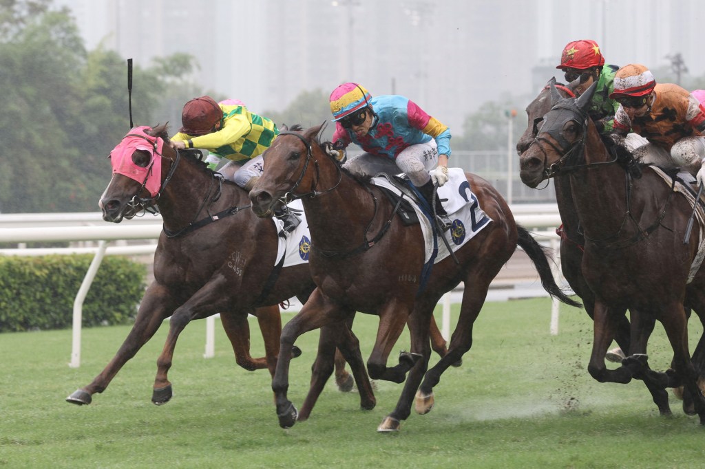 每日賽馬晚報（2024年5月19日），🇬🇧韋利安Amo Racing馬匹全被拉倉，🇭🇰神虎龍駒擺脫加分過多疑惑