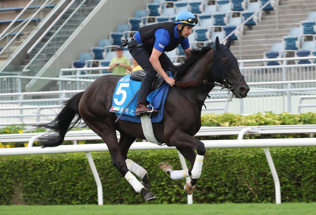 於香港國際賽事以及冠軍賽馬日以外賽事遠征馬何解特別少？