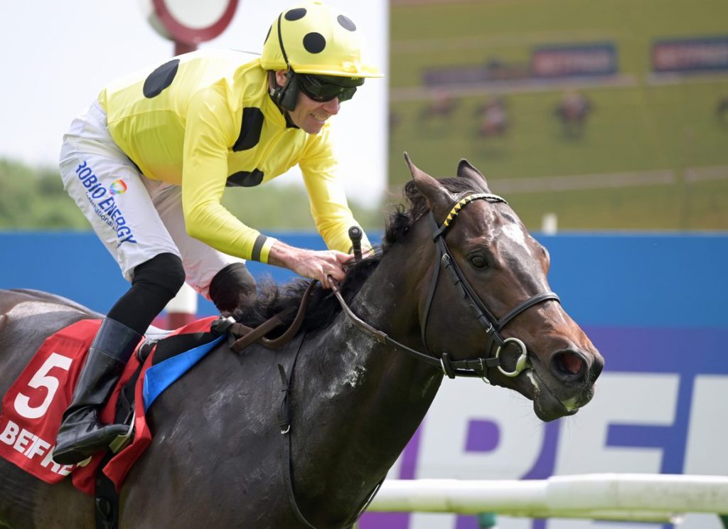 構想所在構成短途新藍圖