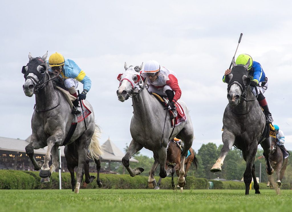 每日賽馬晚報（2024年6月7日），🇬🇧皇家雅士谷最新情報賽期確定，🇺🇸🇦🇺The Grey Wizard獲墨爾本盃優先出賽資格