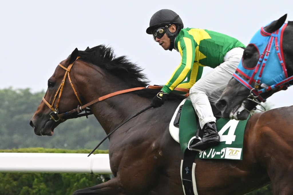 每日賽馬晚報（2024年6月9日），🇿🇦戴夫大王大挑戰大賽輕鬆大勝，🇯🇵Satono Reve函館短途錦標保持爆發力