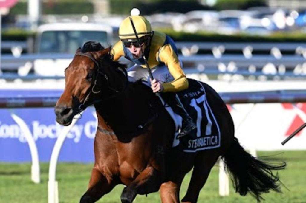 史德布克讓賽，磁性仙妃為勞樑棟首奪一級賽