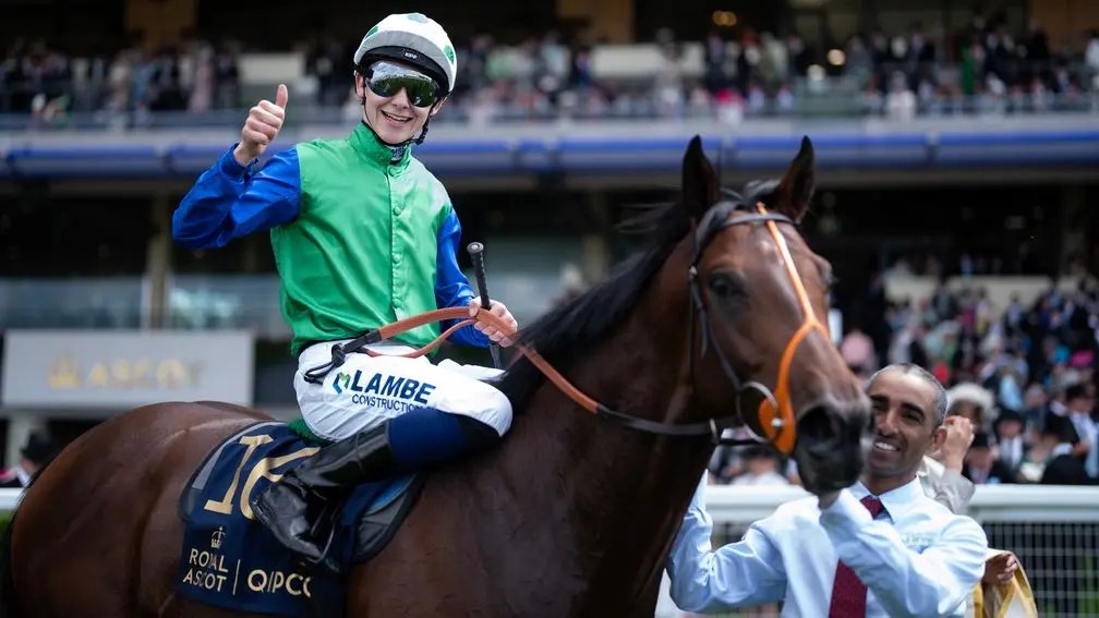 每日賽馬晚報（2024年8月29日），🇦🇺🇯🇵絕技出戰覺士盾，🇬🇧🇮🇪剛強風作客愛爾蘭國家錦標