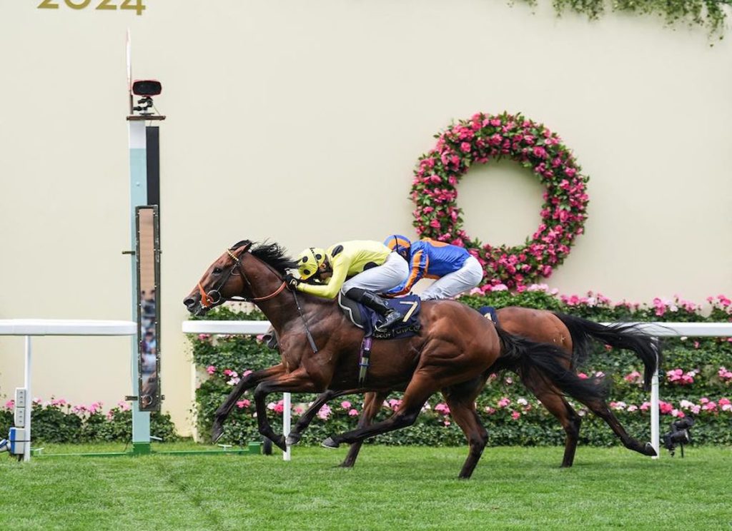 聖詹姆士皇宮錦標，緋色威獅保持惡勢