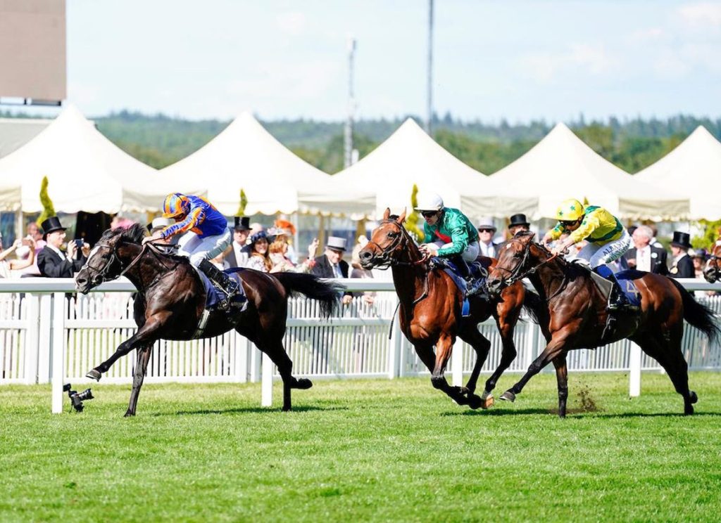 2024年7月27日英皇錦標賽馬日重心選擇