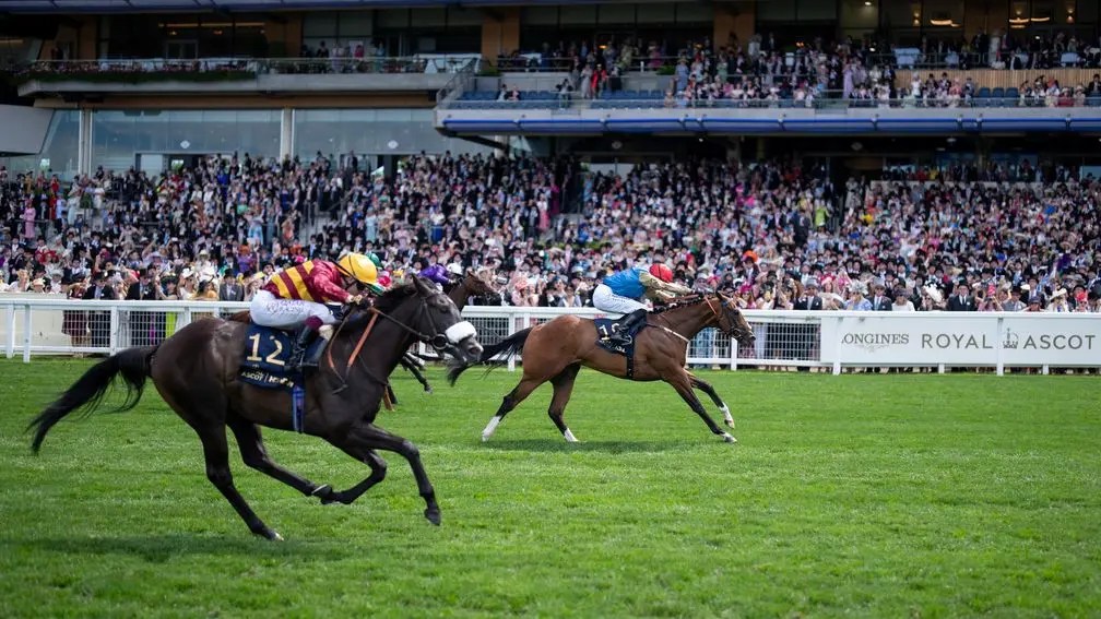 每日賽馬晚報（2024年6月22日），🇯🇵燈神粗品貼變化地專家做寶塚膽，🇬🇧Wathnan Racing諾福錦標有利同享