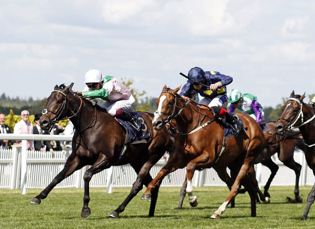 每日賽馬晚報（2024年7月4日），🇬🇧宏達驥及樂於助人出戰七月盃，🇯🇵兩日本JRA女將順利完成手術