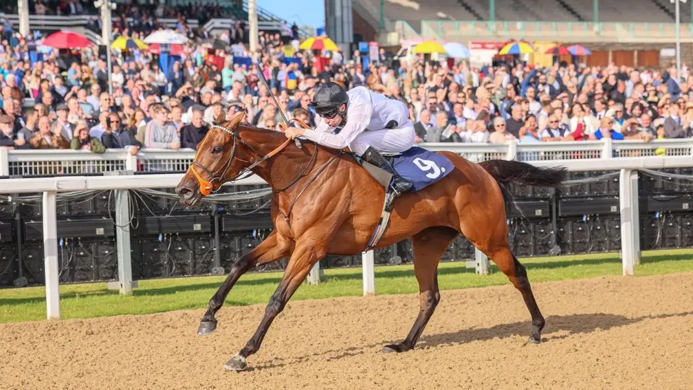 2024年11月10日女皇伊利沙伯二世錦標賽馬日及拜仁大賽日所有賽事推介