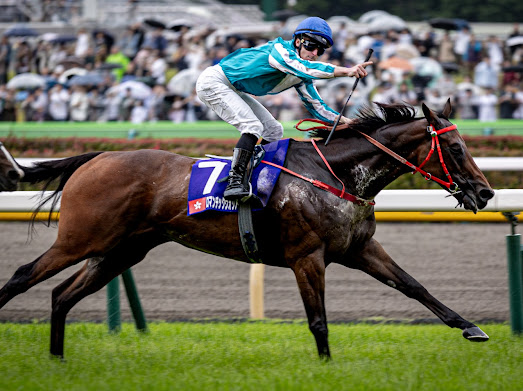 2023-24年香港賽馬大事回顧（4），冠軍人馬獎