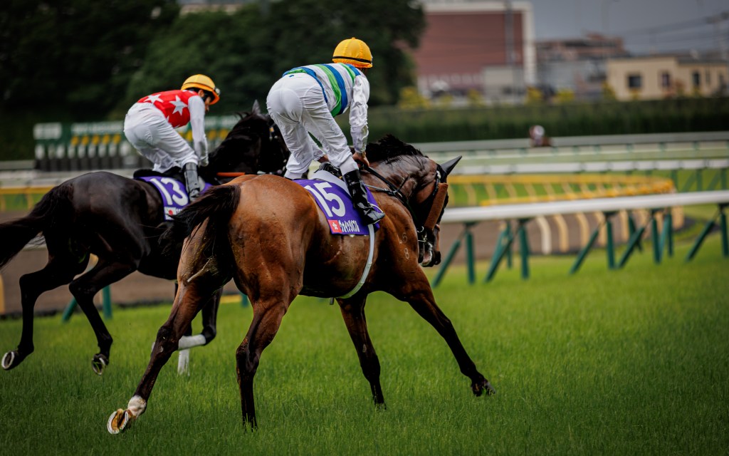 2024年11月17日賽馬日（11場田草、B跑道）