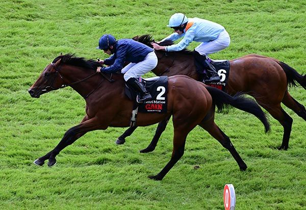 2024年9月15日賽馬日（10場田草泥混合、A+3跑道）+愛爾蘭冠軍週末週四場一級賽精選