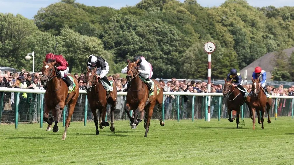 每日賽馬晚報（2024年8月20日），🇦🇺太陽集團Sun Stud土地已被Widden Stud買斷，🇬🇧杜俊誠座騎外閃斷送頭馬