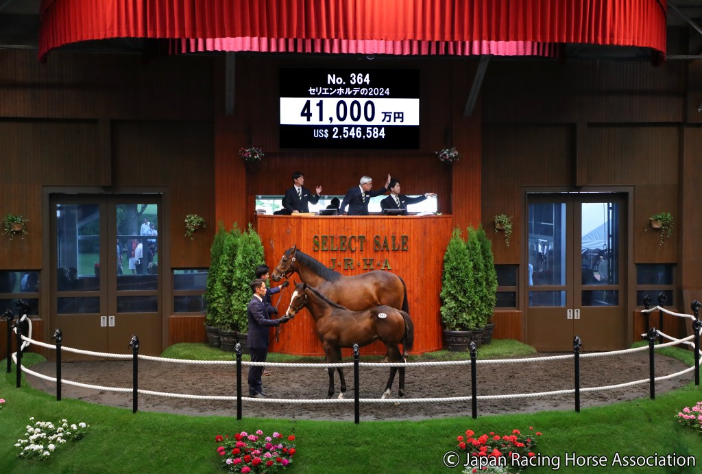 日本精選拍賣會總匯報，北部玄駒兩日領導群雄，神威啟示緊隨其後