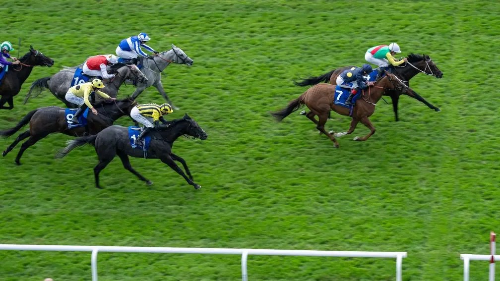 磨坊川長遠以香港國際賽事為目標