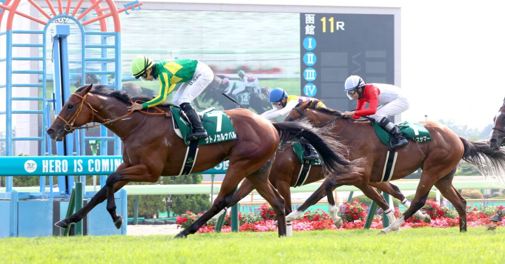 每日賽馬晚報（2024年7月13日），🇯🇵🇺🇸Alice Verite考慮遠征美國育馬者盃，🇯🇵Satono Carnaval輕取日本第一項兩歲馬錦標