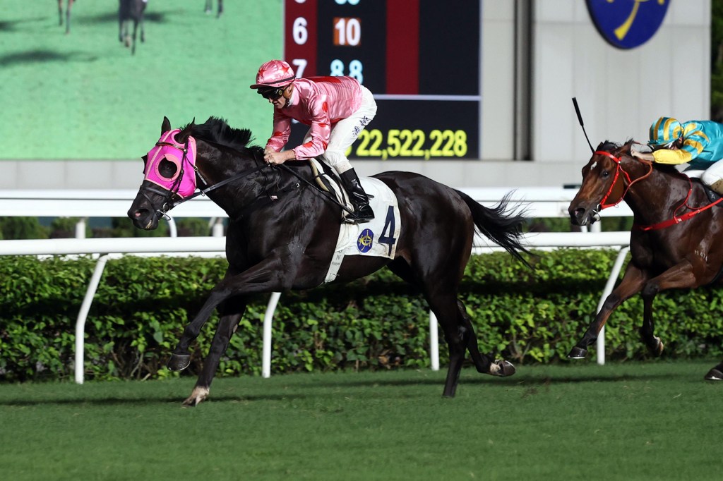 完全美國血統的禪勝輝煌