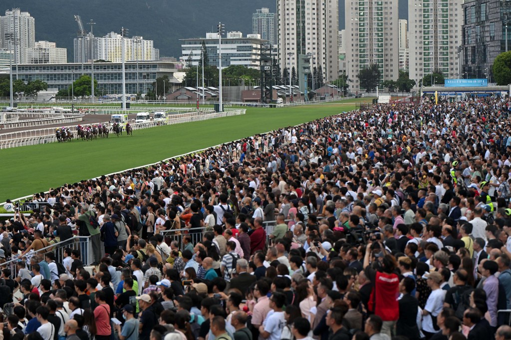 2023-24年香港賽馬大事回顧（8），總集篇