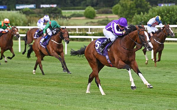 每日賽馬晚報（2024年7月19日），🇯🇵小牧太正式重返地方競馬，🇮🇪🇦🇺宮廷畫匠三級賽大勝現南下澳洲藍圖