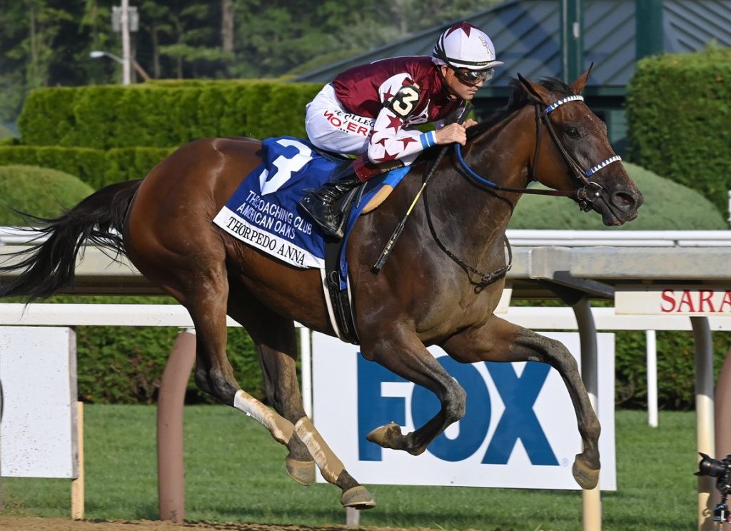 每日賽馬晚報（2024年7月21日），🇦🇺鷹園賽事因大廈施工取消最後兩場賽事，🇺🇸Thorpedo Anna一級賽三連勝