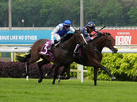 新加坡打吡，林家灑脫險勝馬金稱霸四歲馬系列