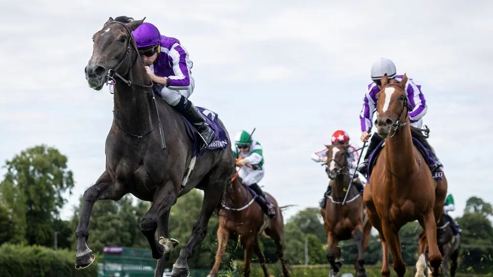 每日賽馬晚報（2024年7月26日），🇮🇪岳伯仁成名良駒Istabraq永別，🇮🇪床邊小話談笑用兵輕勝