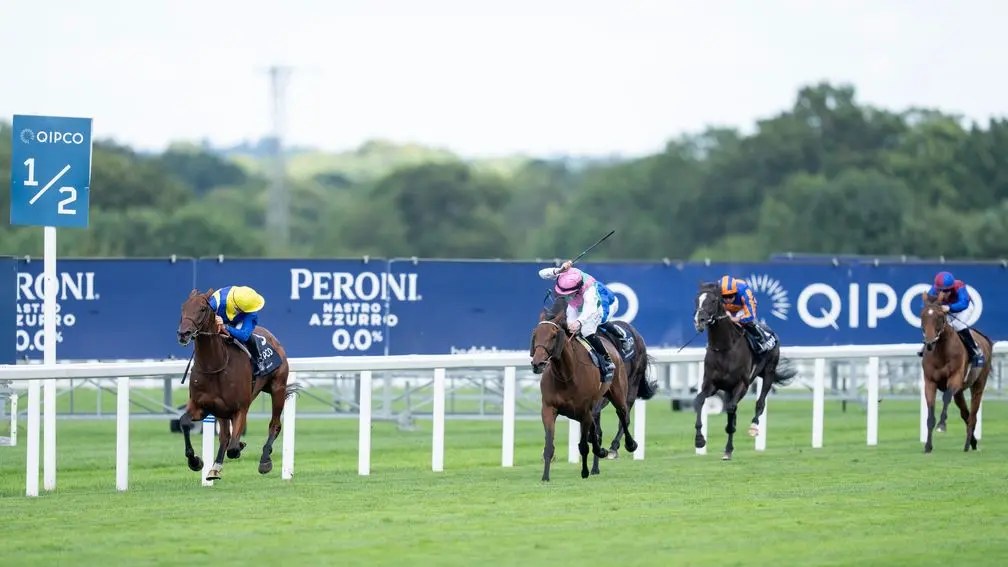 歌利巨人馬主日本盃認輸