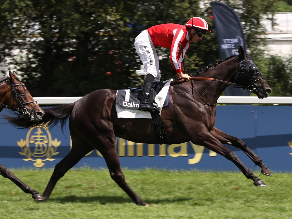 奇力駒有多奇力？